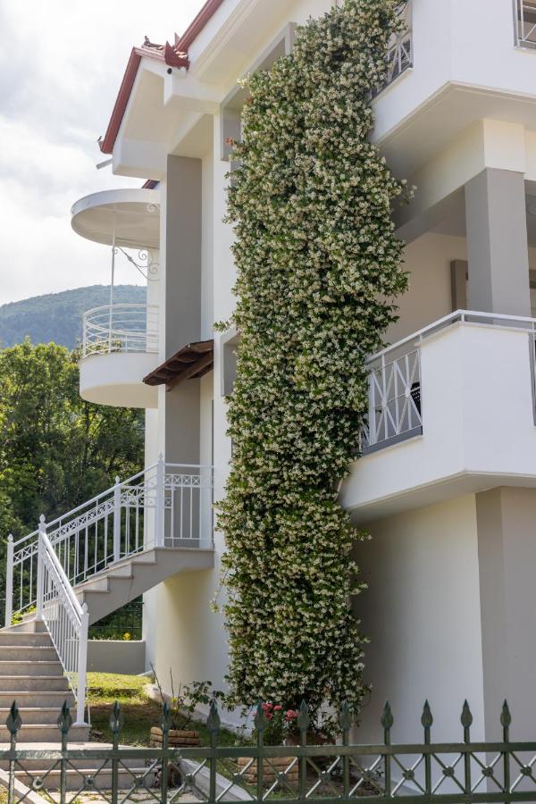 The Olympus Estate Holiday home *
